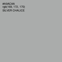 #A9ACAA - Silver Chalice Color Image